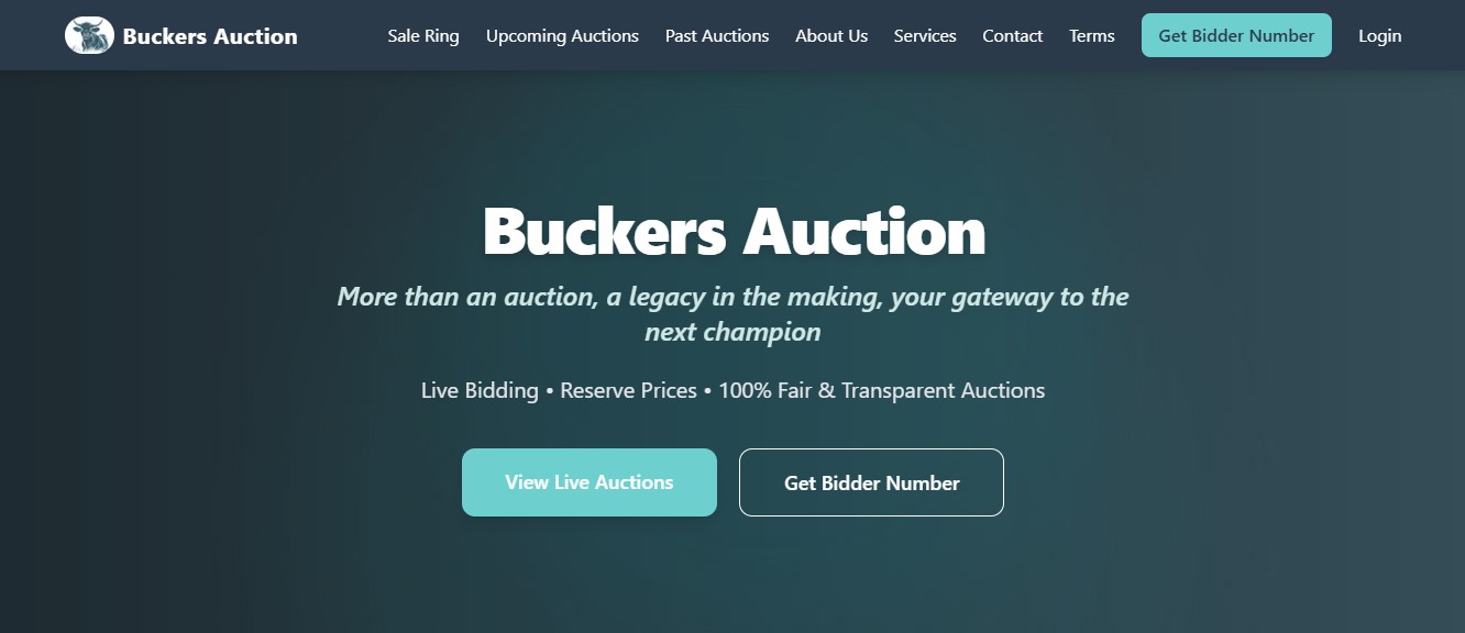 The Bucking Auction